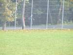 bild29.jpg