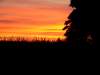 dscf4081.jpg