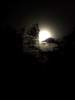 dscf4086.jpg